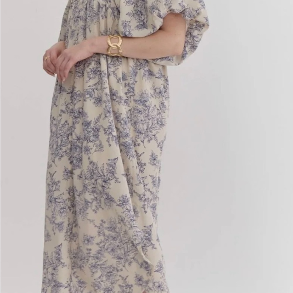 Entro Blue/Ivory Floral Toile Midi Dress, Size Medium - Picture 4 of 8